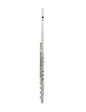  TREVOR JAMES FLUTE VIRTUOSO 31VV-HRX|MusicGoodDeal 