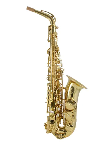  TREVOR JAMES ALTO SAXOPHONE SC A169B|MusicGoodDeal 