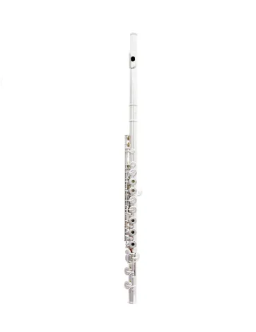  TREVOR JAMES FLUTE VIRTUOSO 31VV-RX|MusicGoodDeal 