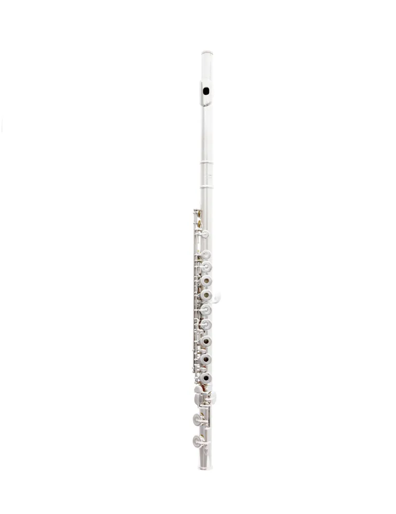  TREVOR JAMES FLUTE VIRTUOSO 31VV-RX|MusicGoodDeal 