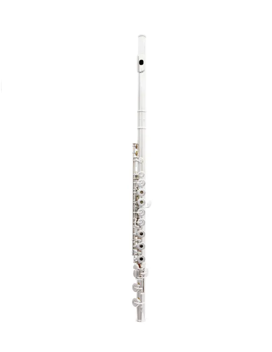  TREVOR JAMES FLUTE VIRTUOSO 31VV-RX|MusicGoodDeal 