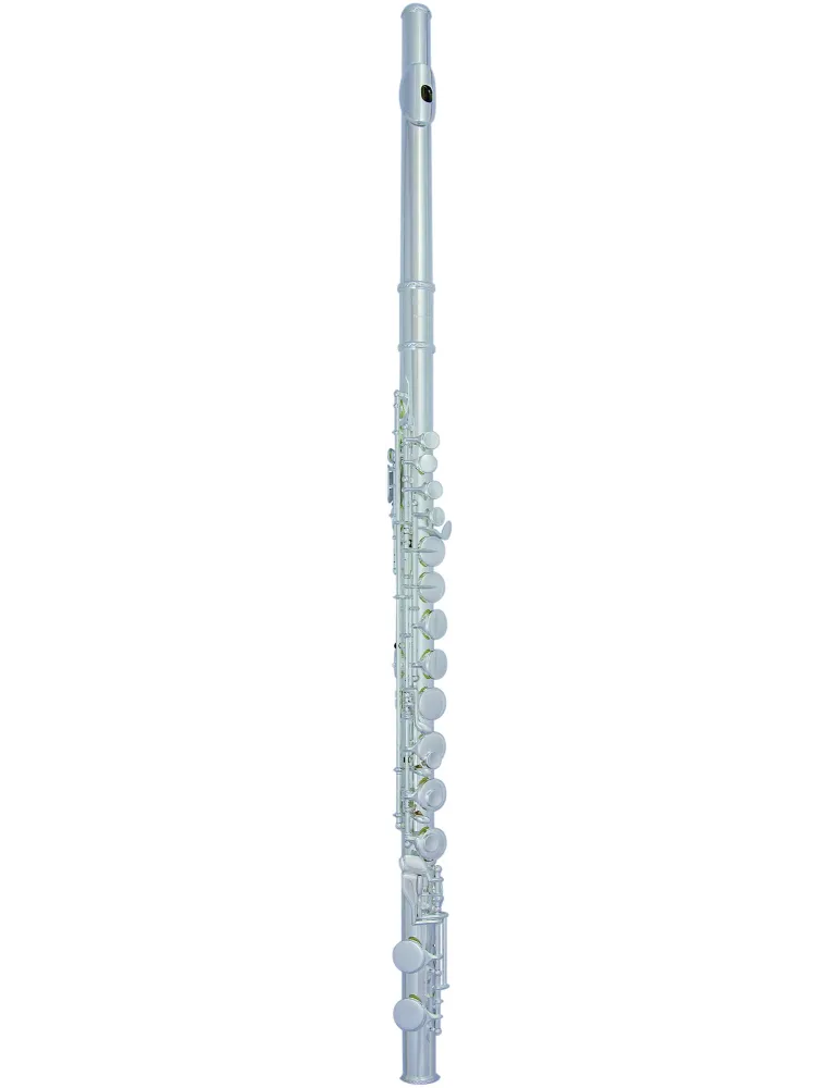  TREVOR JAMES ALTFLÖTE 33223|MusicGoodDeal 