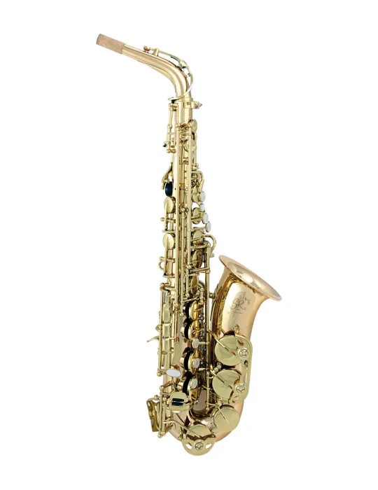  TREVOR JAMES ALTO SAXOPHONE SR 374SR-ZK|MusicGoodDeal 
