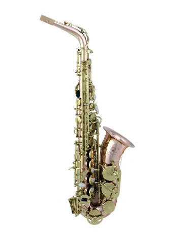  TREVOR JAMES ALTO SAXOPHONE SR 374SR-RK|MusicGoodDeal 