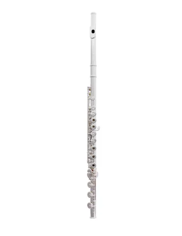  TREVOR JAMES FLUTE CANTABILE 31CV-HRX|MusicGoodDeal 