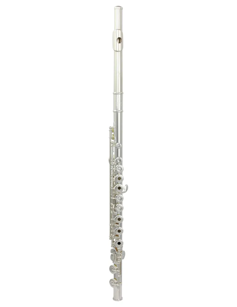  TREVOR JAMES FLUTE CANTABILE 31CV-RX|MusicGoodDeal 