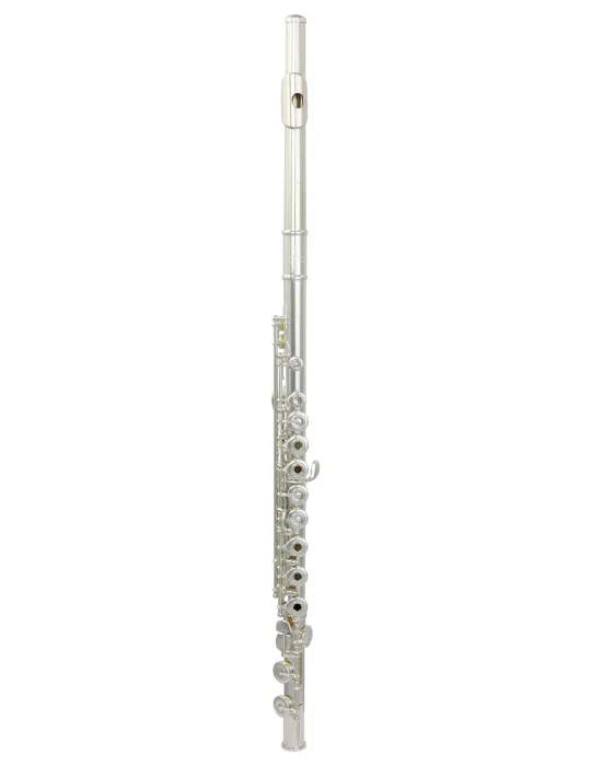  TREVOR JAMES FLUTE CANTABILE 31CV-RX|MusicGoodDeal 