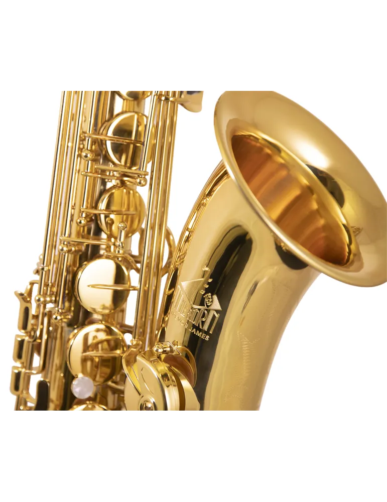  TREVOR JAMES TENOR SAXOPHONE 3830G|MusicGoodDeal 