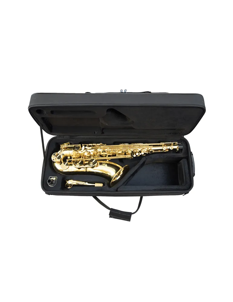  TREVOR JAMES TENOR SAXOPHONE 3830G|MusicGoodDeal 