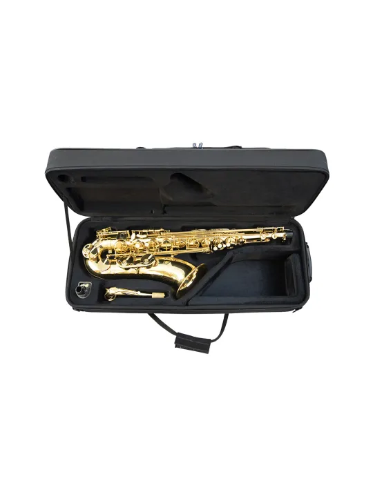  TREVOR JAMES TENOR SAXOPHONE 3830G|MusicGoodDeal 