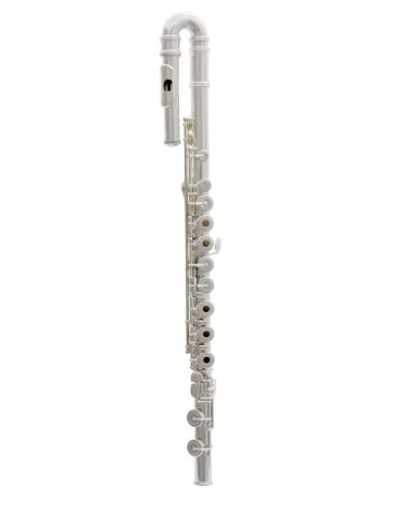  TREVOR JAMES FLUTE PRIVILEGE 31PFCDRSLRX|MusicGoodDeal 