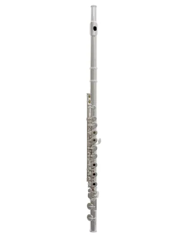 TREVOR JAMES FLUTE PRIVILEGE 31PFRSLRX
