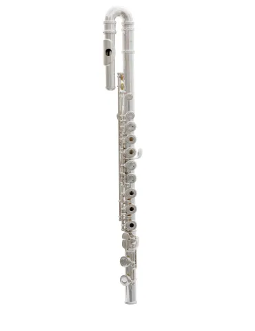  TREVOR JAMES FLUTE 10X 3041CDRSLRWX|MusicGoodDeal 