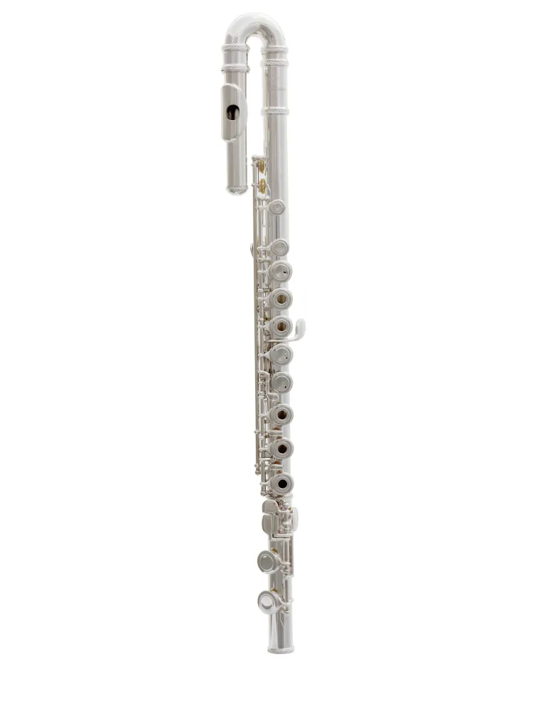  TREVOR JAMES FLÖTE 10X 3041CDRSLRWX|MusicGoodDeal 
