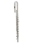  TREVOR JAMES FLÖTE 10X 3041CDRSLRWX|MusicGoodDeal 