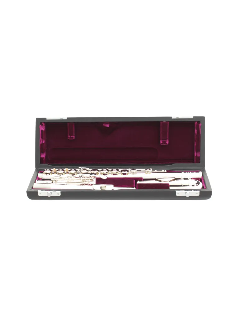  TREVOR JAMES FLÖTE 10X 3041CDRSLRWX|MusicGoodDeal 