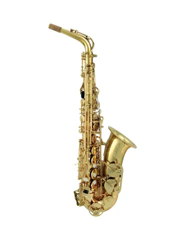  TREVOR JAMES ALTO SAXOPHONE 3730G|MusicGoodDeal 