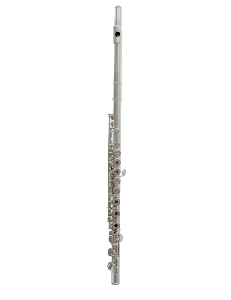  TREVOR JAMES FLÖTE 10X 3041RSLRW|MusicGoodDeal 
