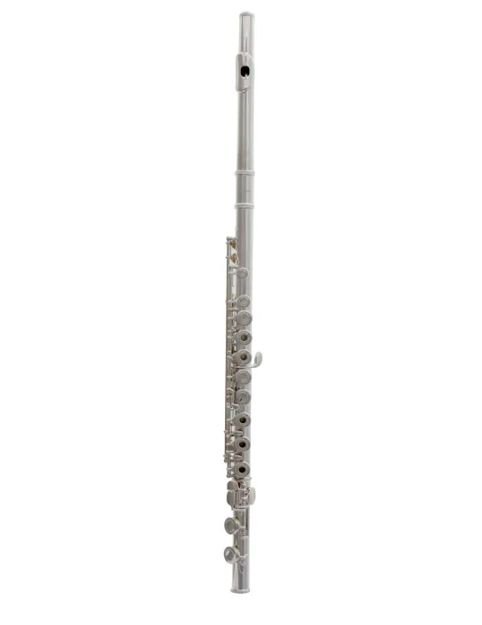  TREVOR JAMES FLÖTE 10X 3041RSLRW|MusicGoodDeal 