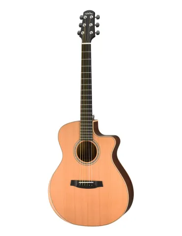 WALDEN WAG3033RCEH | MusicGoodDeal