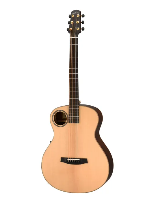 WALDEN WAB103EH | MusicGoodDeal