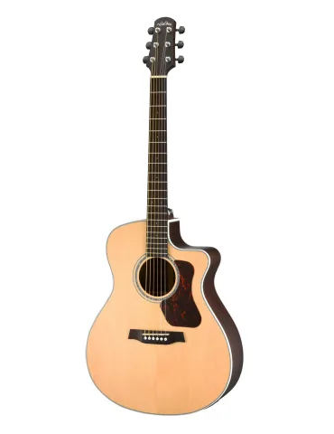 WALDEN WAG803CEW | MusicGoodDeal