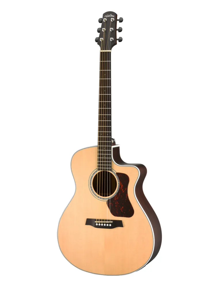 WALDEN WAG803CEW | MusicGoodDeal