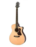 WALDEN WAG803CEW | MusicGoodDeal