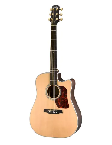 WALDEN WAD603CEW | MusicGoodDeal