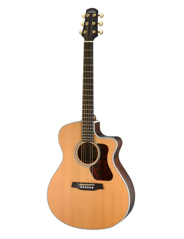 WALDEN WAG633CEW | MusicGoodDeal