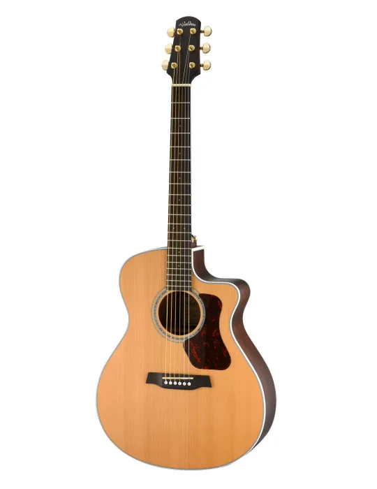 WALDEN WAG633CEW | MusicGoodDeal