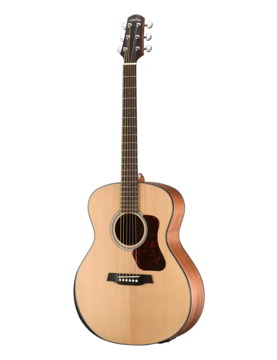 WALDEN WAG550REW | MusicGoodDeal