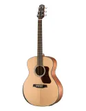 WALDEN WAG550REW | MusicGoodDeal