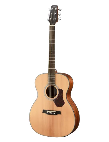 WALDEN WAO550EW | MusicGoodDeal