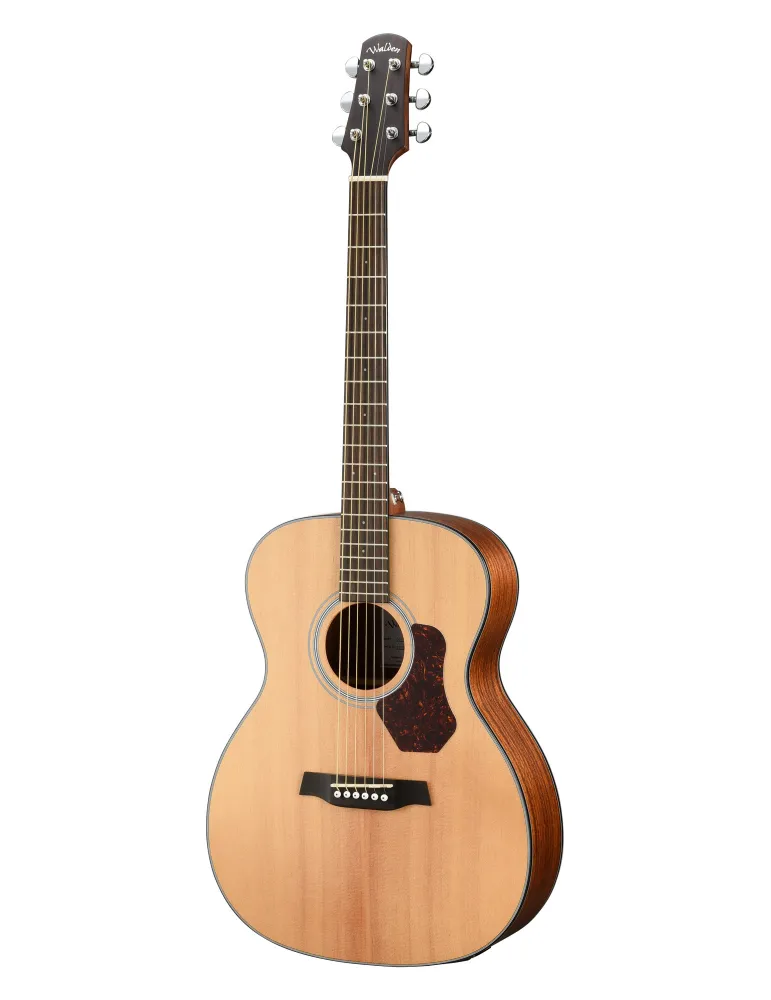 WALDEN WAO550EW | MusicGoodDeal