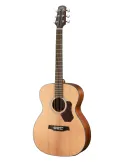 WALDEN WAO550EW | MusicGoodDeal