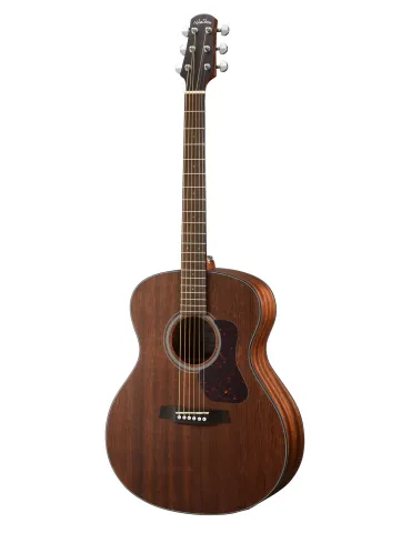 WALDEN WAG551EW | MusicGoodDeal
