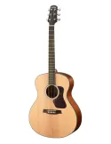 WALDEN WAG550EW | MusicGoodDeal