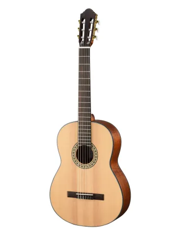WALDEN WAN550EW | MusicGoodDeal
