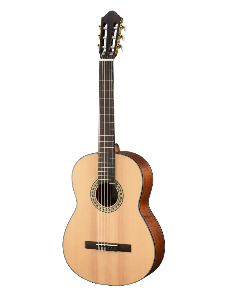 WALDEN WAN550EW | MusicGoodDeal