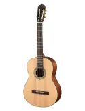 WALDEN WAN550EW | MusicGoodDeal