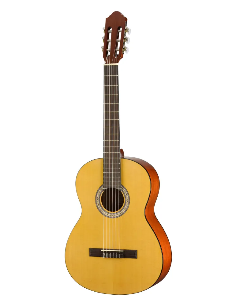 WALDEN WAN350W | MusicGoodDeal