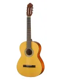 WALDEN WAN350W | MusicGoodDeal