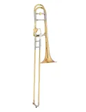XO XO1236RLT | MusicGoodDeal