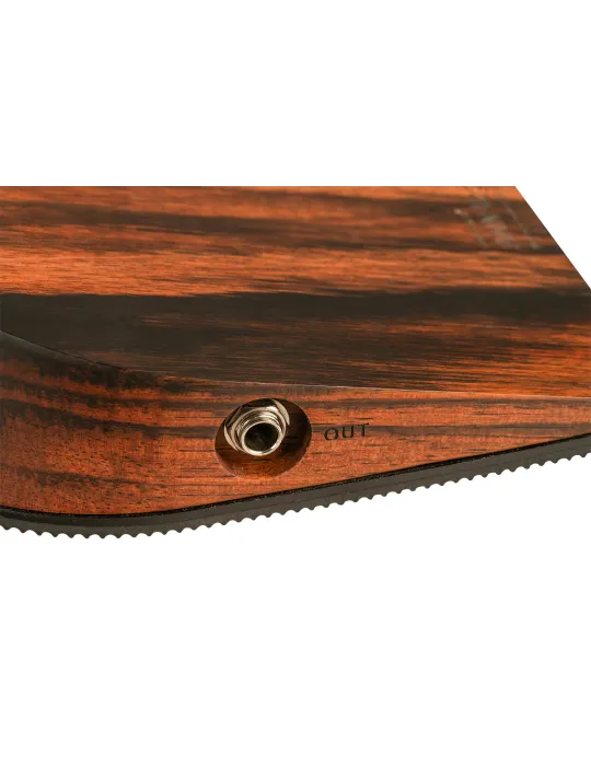 ORTEGA ANNALOGX-SE | MusicGoodDeal