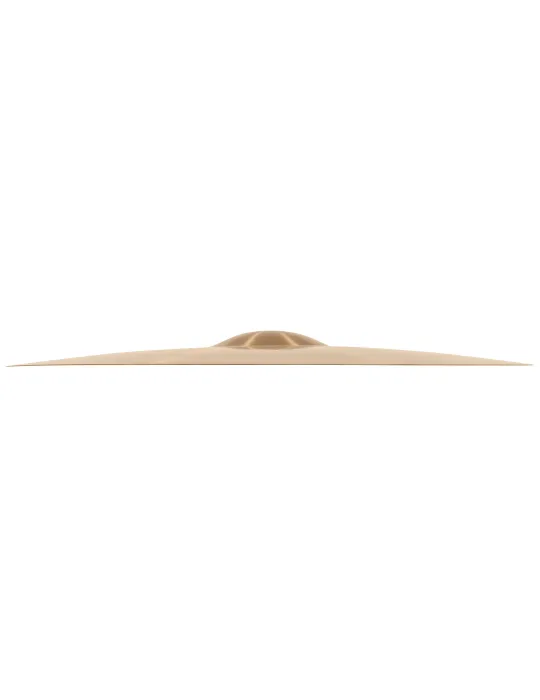 MEINL PA22TR | MusicGoodDeal
