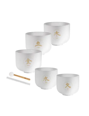 Sonic Energy Set of 5 Crystal Singing Bowls TMC