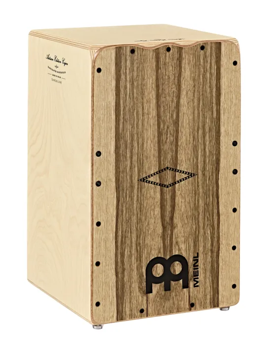 MEINL AETLLI | MusicGoodDeal