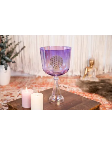  SONIC ENERGY SINGINGCHALICE CRYSTAL 8", 8", 8", 8", 8", 8", 8", 8", 8".|MusicGoodDeal  2