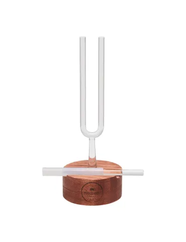 SONIC ENERGY WSS | MusicGoodDeal 2